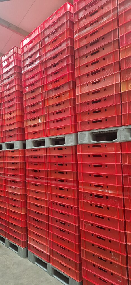 Stapelkrat, 600x400x125 mm, euronorm, rood kunststof, gebruikt