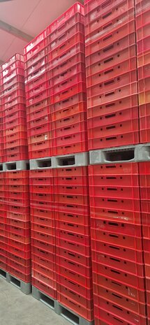 Stapelkrat, 600x400x125 mm, euronorm, rood kunststof, gebruikt