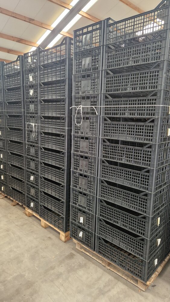 Emtrade Stapelbak, 600x400x210 mm, euronorm, zwart pp, gebruikt