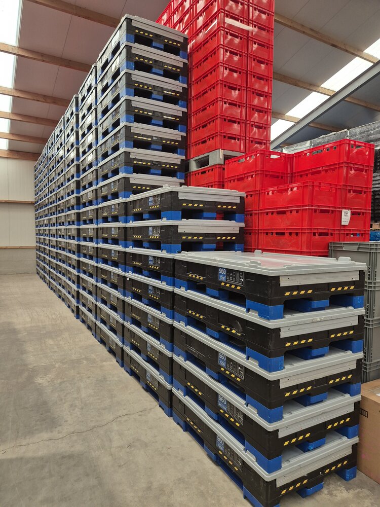 Schoeller Allibert Magnum Optimum 1208 palletbox 1200 x 800 x 958 mm met deksel, gebruikt