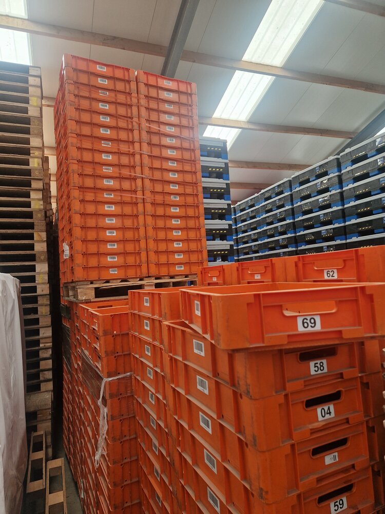 Emtrade Stapelbak, 600x400x120 mm, euronorm, oranje kunststof, gebruikt