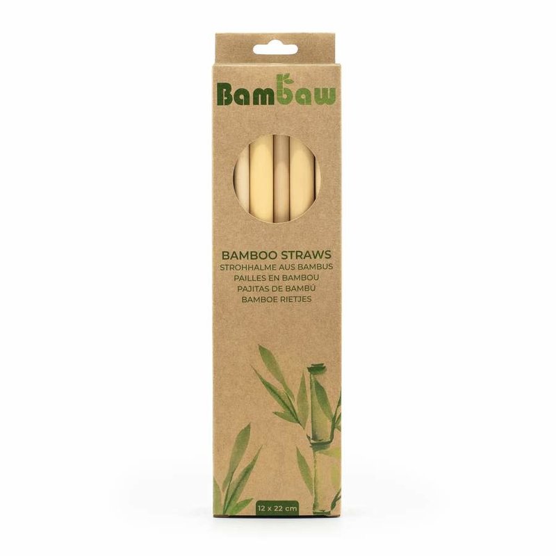 Bamboo Rietjes 22 cm (box van 12)
