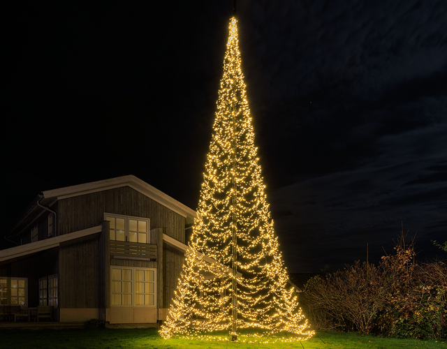 Lumedi Premium Duo 8000 | 10 mètres | LED bicolore