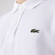 Lacoste Slim fit polo White Lacoste Slim fit polo White