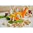 PLANTOYS DIY dinosaurus Pterodactyl