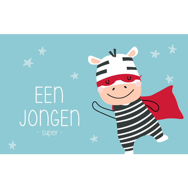 LEUKE KAARTJES Zebra jongen