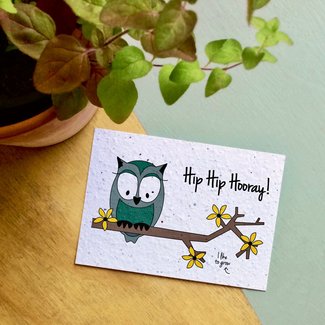 BLOOM flower card owl hip hip hooray