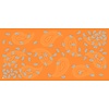 Glarner Paisley orange