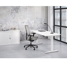 Elektrisch Zit/Sta bureau
