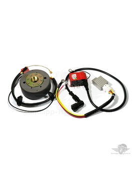 Kokusan 50cc 12V EVO 2 Red Line