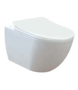 CREAVIT Creavit FE320 Hangtoilet incl. softclose toiletbril Glans Wit verdekte bevestiging anti bacterieel.