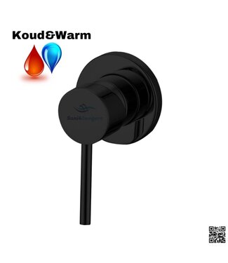 Omstelkraan Zwart inbouw Bidetkraan mat zwart warm en koud tbv bidettoilet Douchewc bidetdouche