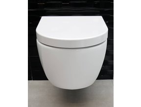 SaniPro Easy Flush Randloos Hangtoilet Glans Wit Incl. Toiletbril (BxLxH) 36x54x25cm