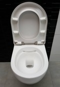 SaniPro Easy Flush Randloos Hangtoilet Glans Wit Incl. Toiletbril (BxLxH) 36x54x25cm