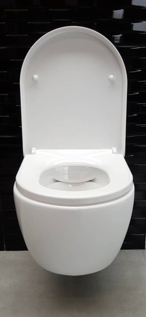 SaniPro Easy Flush Randloos Hangtoilet Glans Wit Incl. Toiletbril (BxLxH) 36x54x25cm