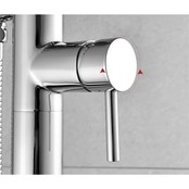 Badkraan Vrijstaand Tivoli Lux Chroom Mengkraan Rond 1 Greeps met Handdouche