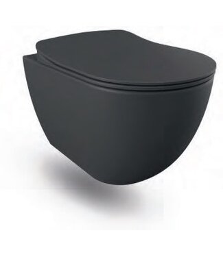 CREAVIT Creavit FE320 Hangtoilet Antraciet Mat 51x35,5x29CM met softclose toiletbril met spoelrand