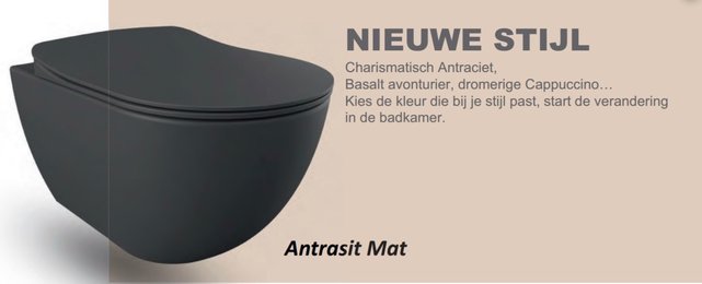 Creavit FE322 Hangtoilet Randloos Antraciet Mat incl. toiletbril Softclose 51x35,5x29CM