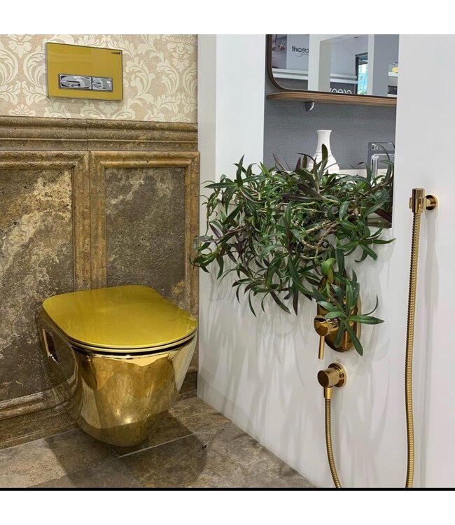 CREAVIT Hangtoilet Goud Creavit Tera TP325 incl. Softclose toiletbril