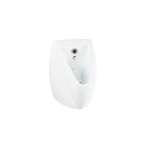 Urinoir Glans Wit met Sensor spoeling geïntegreerd Creavit TP645 Keramiek Hangend 55x42x37cm