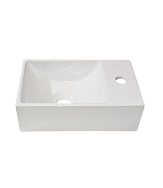 SANI-SUPPLY Mini ToiletFontein Kraangat Rechts SaniPro New Wonder 30,5x19x10,5cm Links / Rechts
