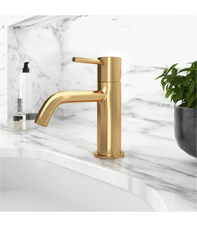 SANETTI Wastafelkraan Laag Gold Geborsteld goud Mengkraan SaniPro Lux Rond 1 Greeps Opbouw