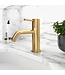 SANETTI Wastafelkraan Laag Gold Geborsteld goud Mengkraan SaniPro Lux Rond 1 Greeps Opbouw