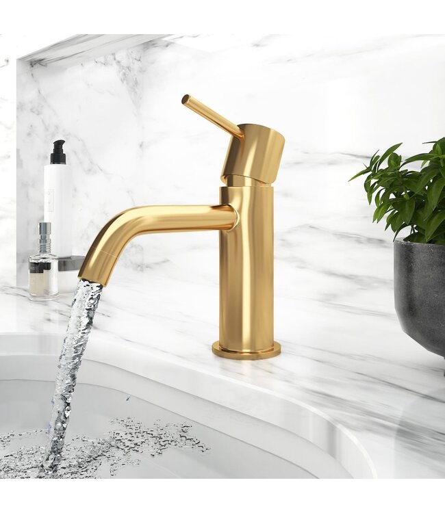 SANETTI Wastafelkraan Laag Gold Geborsteld goud Mengkraan SaniPro Lux Rond 1 Greeps Opbouw