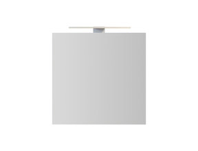 Spiegelkast Pandora 60x60x14cm Aluminium LED Verlichting Stopcontact Binnen en Buiten Spiegel Glazen Planken