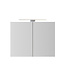 Spiegelkast Pandora 80x60x14cm Aluminium LED Verlichting Stopcontact Binnen en Buiten Spiegel Glazen Planken
