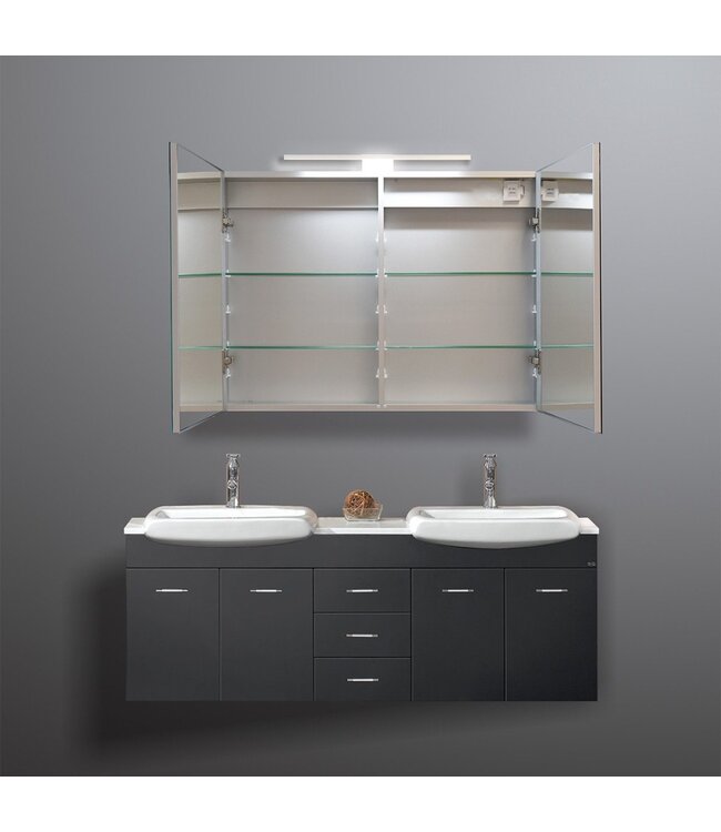 Spiegelkast Pandora 100x60x14cm Aluminium LED Verlichting Stopcontact Binnen en Buiten Spiegel Glazen Planken