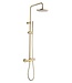 SANI-SUPPLY Opbouw regendouche set Effeze geborsteld Goud 20cm rond hoofddouche op de hoogte verstelbaar