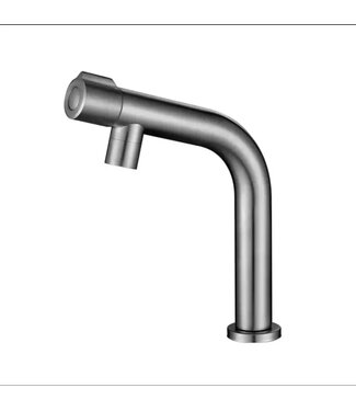 SANI-SUPPLY Toiletkraan RVS Balkon fonteinkraan enkel koudkraan eenhendel bediening