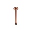 SaniPRO Douchearm Brons Rond 20cm Regendouche Plafond bevestiging SaniPro