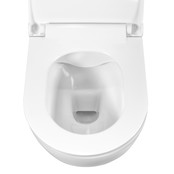 Geberit Toiletset UP 320 Aloni Flatline Rimfree Softclose Quickrelease Toiletbril Alpha Mat Zwart