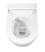 GEBERIT Geberit Toiletset UP 320 Aloni Flatline Rimfree Softclose Quickrelease Toiletbril Alpha Mat Zwart