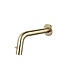SaniPro Parro Mini toilet fonteinset Inbouw Geborsteld Goud solid surface Planchet Handoekhouder Waskom kraan inbouw sifon en waste