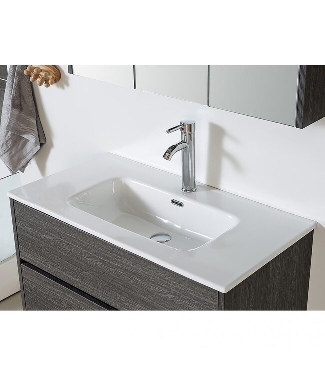 FABRIECIO Badkamermeubel Onderkast Dahlia Grijs 60x46x48cm 2 lades softclose