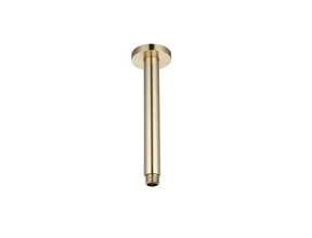 Douchearm Effeze Plafond 20cm Rond Messing Goud Geborsteld