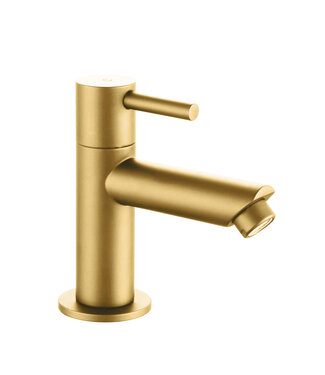 ALONI Fonteinkraan 11,3cm gebeborsteld Goud eenhendel bediening Laag Koud