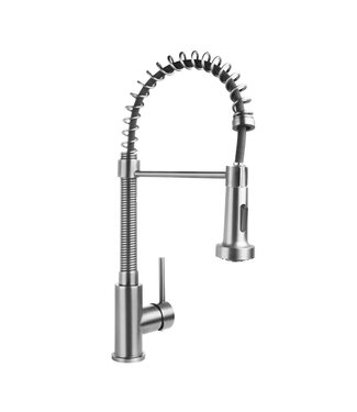 CREAVIT Keukenkraan Evita Chroom met uittrekbare Handdouche sproeiknop