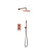 Inbouw Regendouche set Aloni Geborsteld Goud 25 cm Rond Hoofddouche muur Thermostaatkraan incl. handdouche