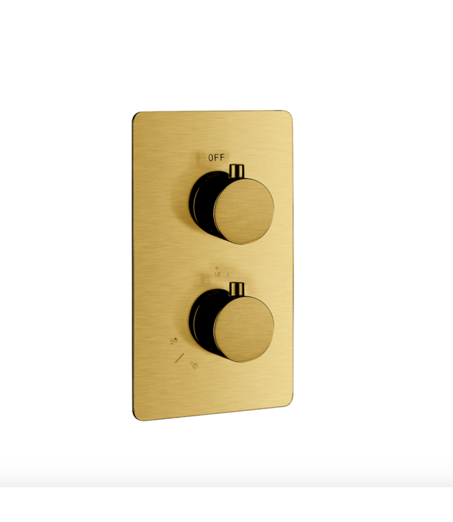 Inbouw Regendouche set Aloni Geborsteld Goud 25 cm Rond Hoofddouche muur Thermostaatkraan incl. handdouche