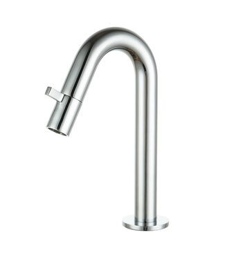 SANETTI Toiletkraan Eva Laag Rond Glans Chroom Koudwaterkraan