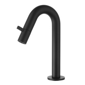 Toiletkraan Eva Laag Rond Mat Zwart Koudwaterkraan