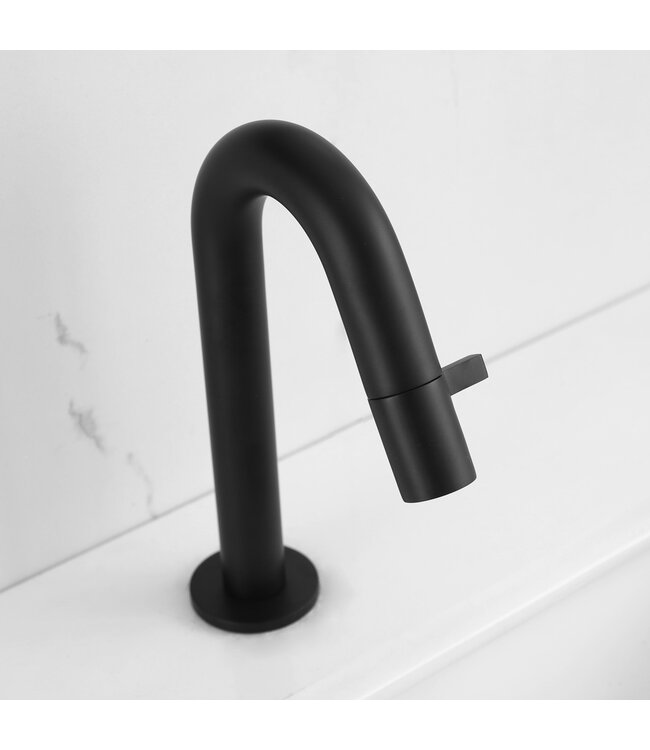 Toiletkraan Eva Laag Rond Mat Zwart Koudwaterkraan