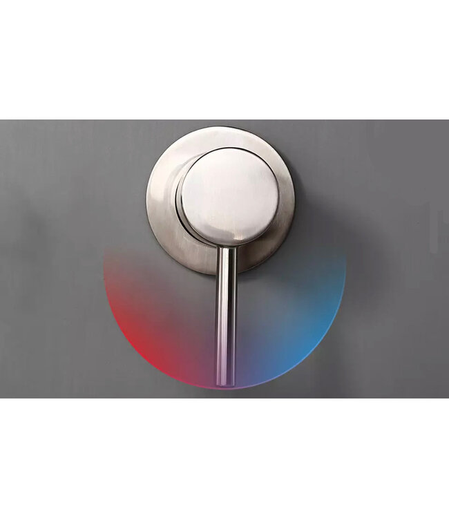 Omstelkraan warm en koud inbouw Bidetkraan Geborsteld Goud tbv bidettoilet Douchewc bidetdouche