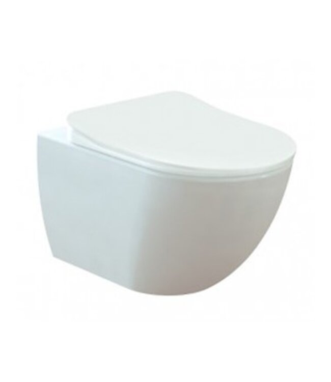 Creavit FE322 Randloos Hangtoilet met Bidet Mat Antraciet met softclose toiletbril 51x35,5x29cm