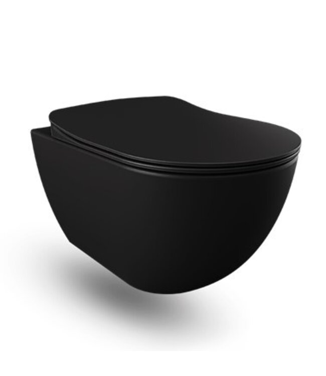 Creavit FE322 Randloos Hangtoilet met Bidet Mat Antraciet met softclose toiletbril 51x35,5x29cm