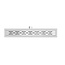 ALONI RVS Douchegoot 50x11x7 cm compleet met Flens Uitneembaar Sifon + uitneembaar haarfilter